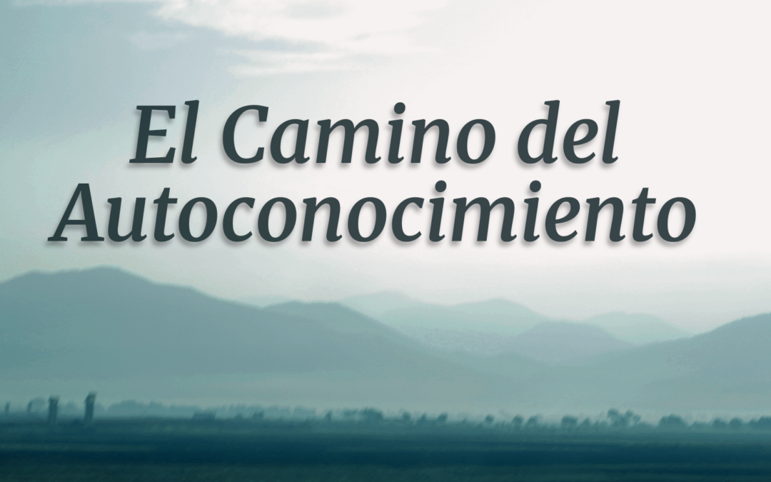 El Camino del Autoconocimiento: Primer Año