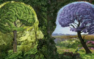 Despertar de Consciencia