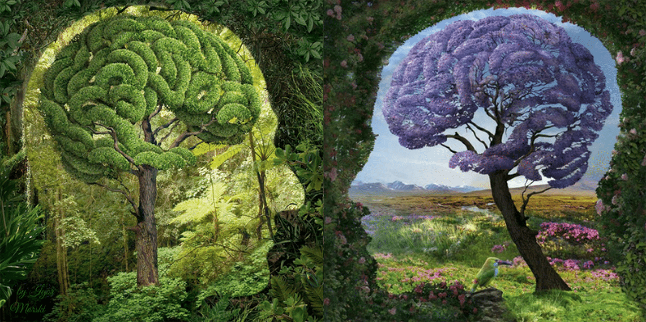 Despertar de Consciencia